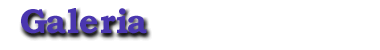 Galeria de Arte
